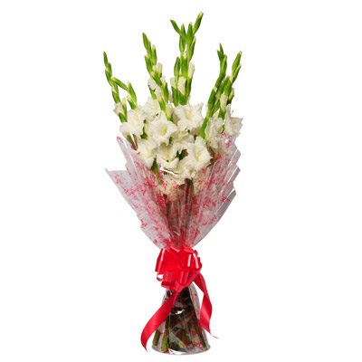 10 White Gladiolus Bunch